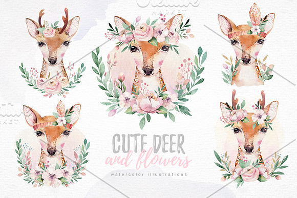 Сute forest friends! in Illustrations - product preview 6