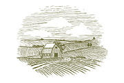 Woodcut Farm Fields