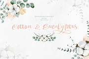 Cotton and Eucalyptus