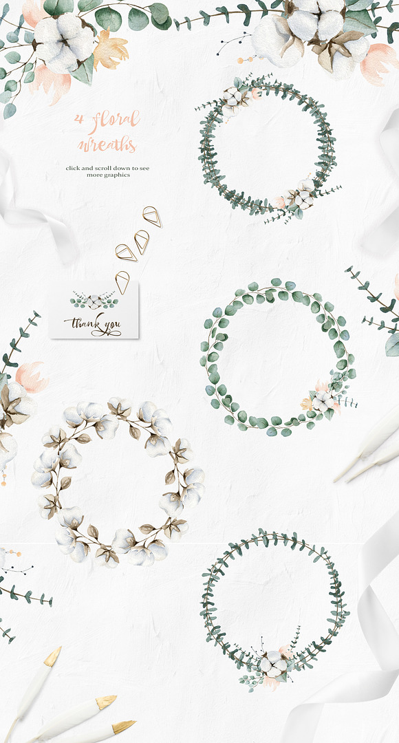 Cotton and Eucalyptus in Illustrations - product preview 2