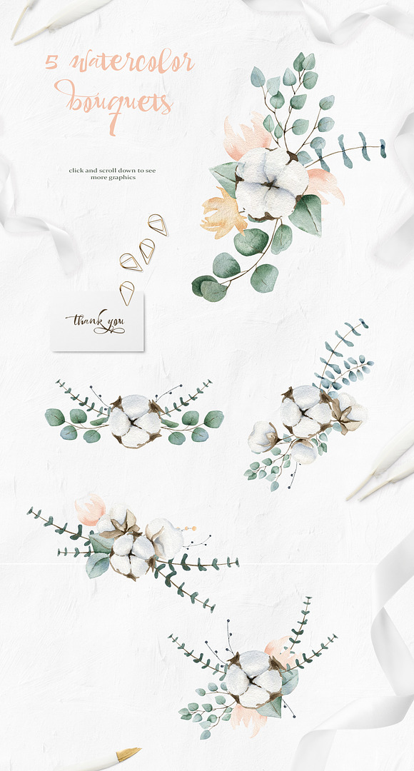 Cotton and Eucalyptus in Illustrations - product preview 3