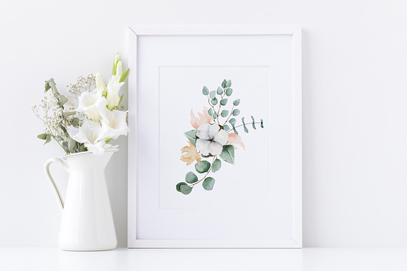Cotton and Eucalyptus in Illustrations - product preview 7