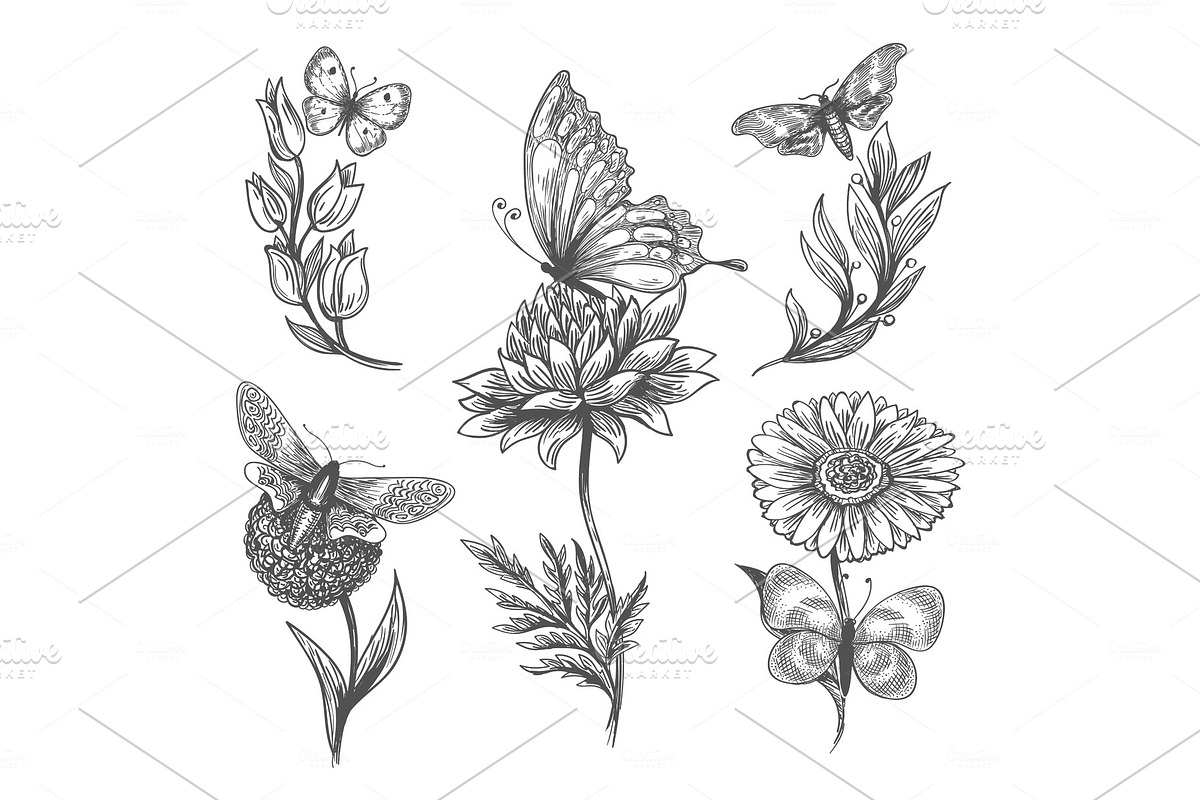 Butterfly and flowers doodle sketch in Illustrations - product preview 8
