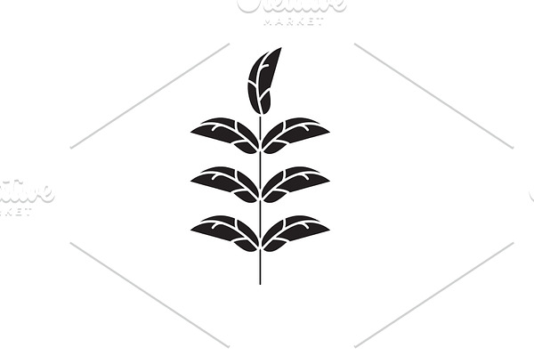 Pecan leaf black vector concept icon