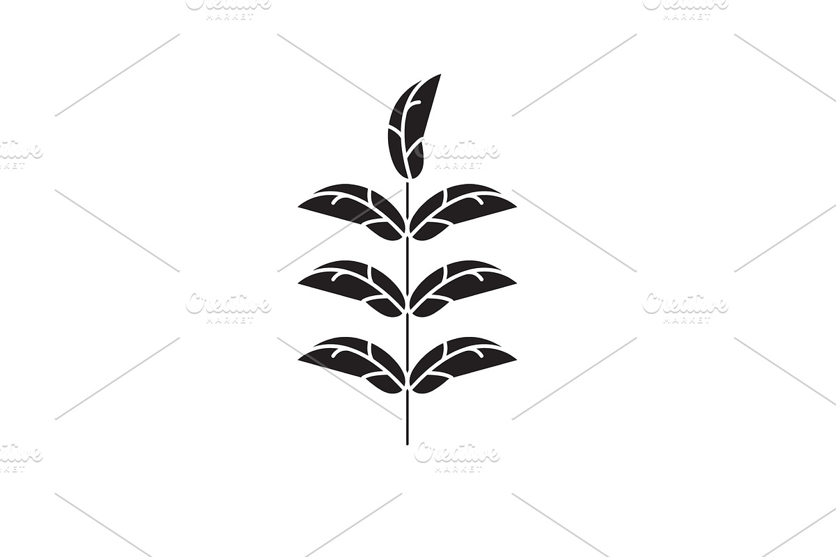 Pecan leaf black vector concept icon in Illustrations - product preview 8