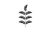 Pecan leaf black vector concept icon