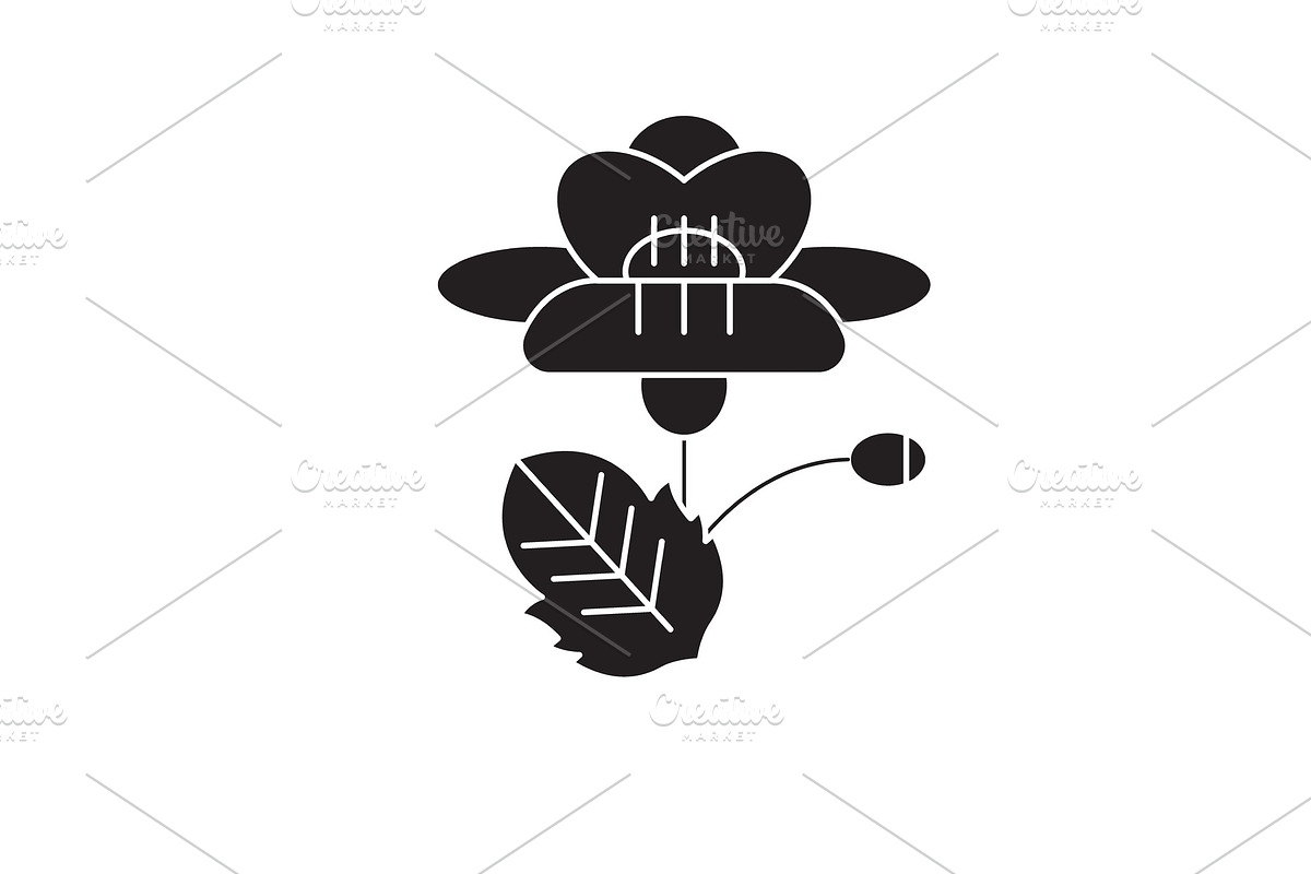 Poppy black vector concept icon in Illustrations - product preview 8