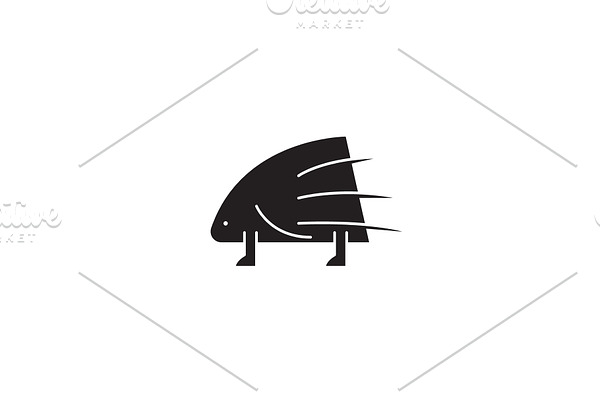 Porcupine black vector concept icon