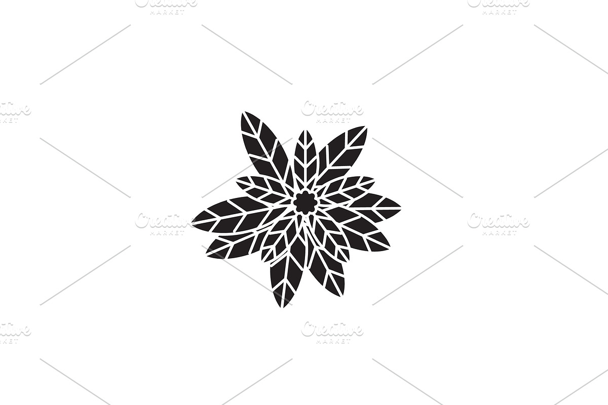Eucalyptus black vector concept icon in Illustrations - product preview 8