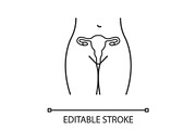 Female reproductive system icon
