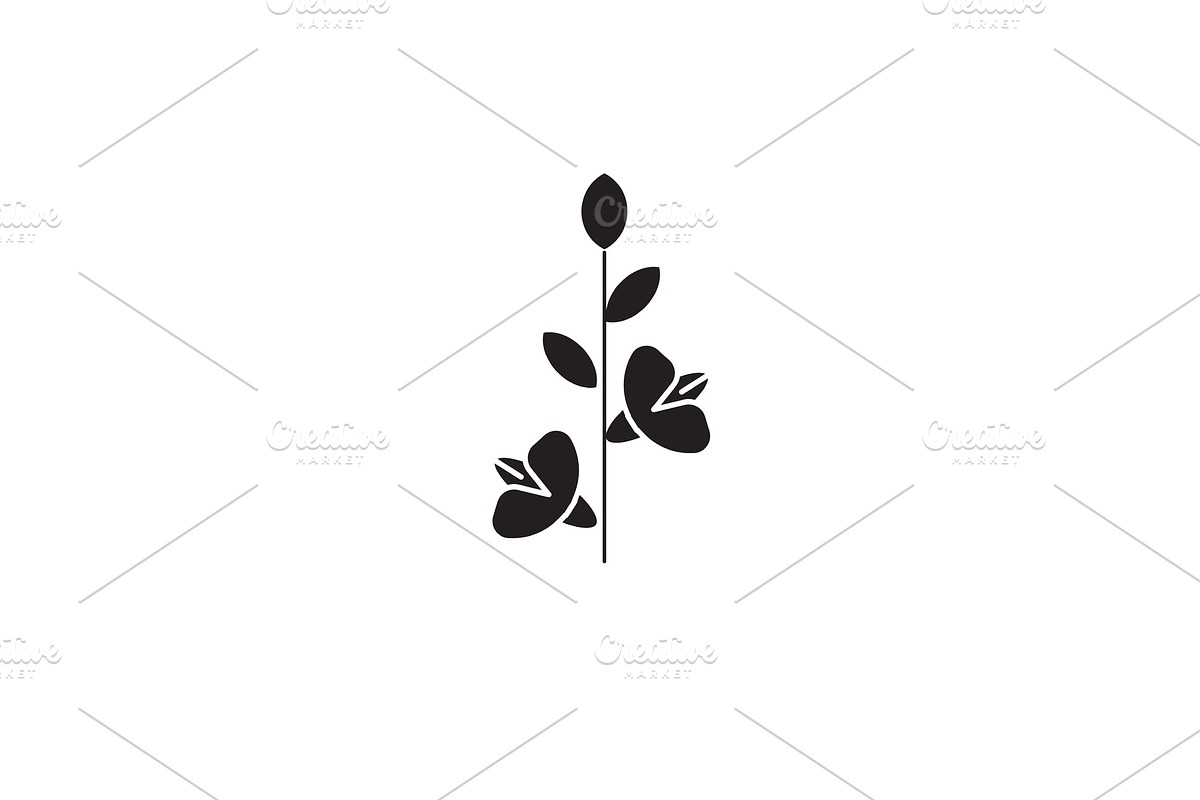 Gladiola black vector concept icon in Illustrations - product preview 8