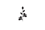 Gladiola black vector concept icon