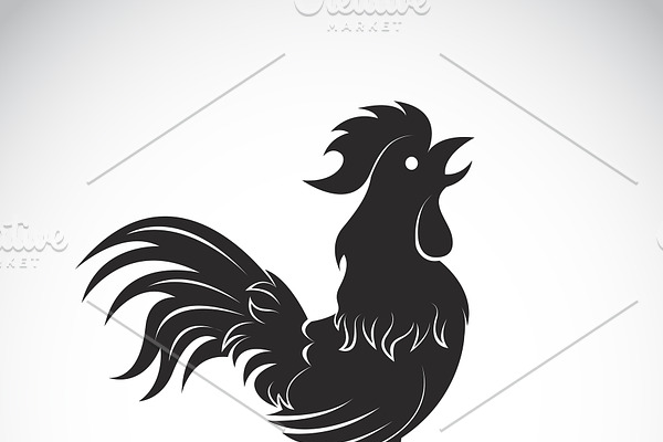 Vector of a cock on white background