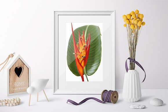Red Flowers Heliconia Fire Flash in Illustrations - product preview 5