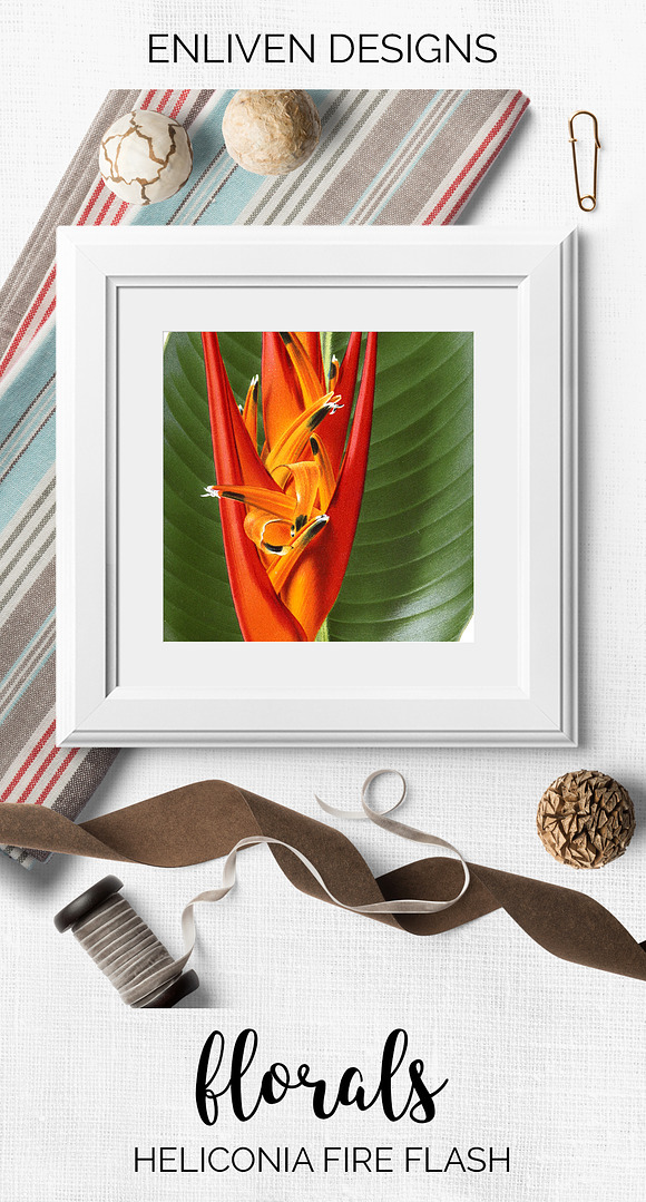 Red Flowers Heliconia Fire Flash in Illustrations - product preview 7