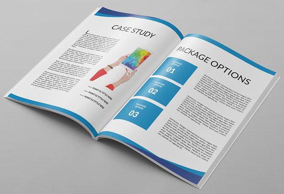 Business Proposal or Brochure in Brochure Templates - product preview 2