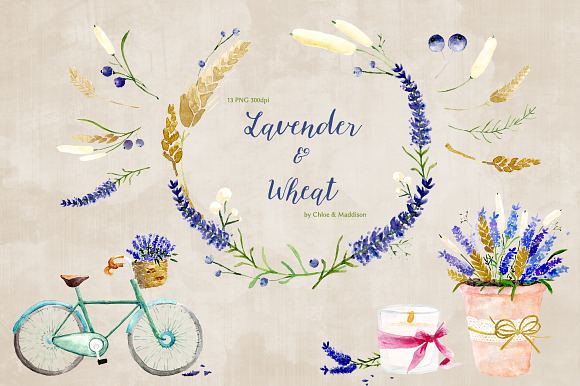 Lavender & Wheat Floral Elements in Illustrations - product preview 3