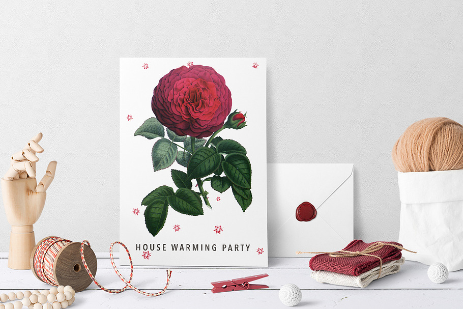 Red Rose in Illustrations - product preview 8