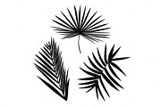 Set of palm leaves silhouettes