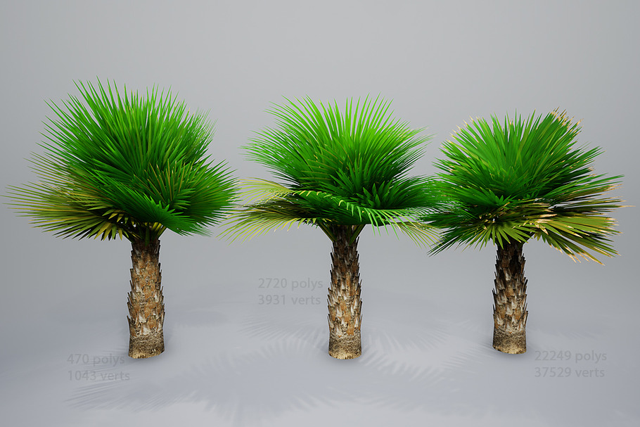 Palm with LODs in Nature - product preview 8
