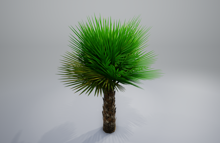 Palm with LODs in Nature - product preview 20