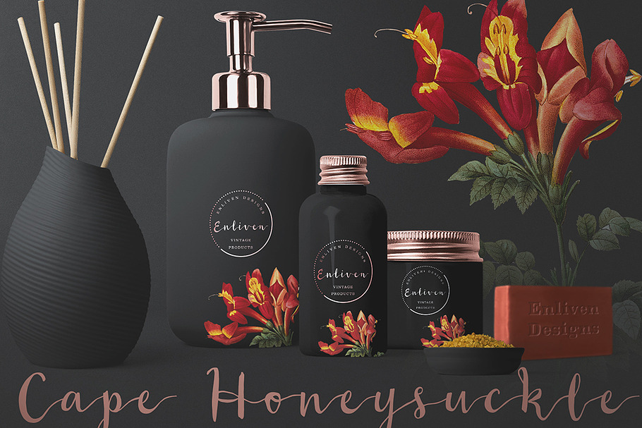 Honeysuckle in Illustrations - product preview 8