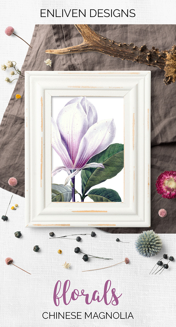Magnolia Clipart Flowers in Illustrations - product preview 6