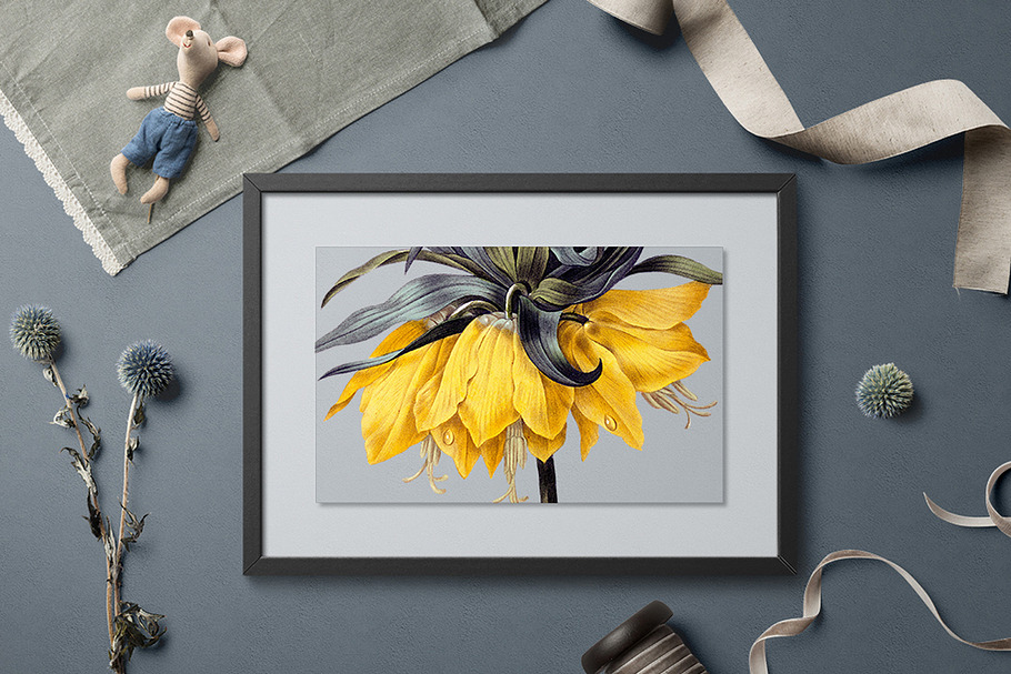 Lily Yellow Lilies in Illustrations - product preview 8