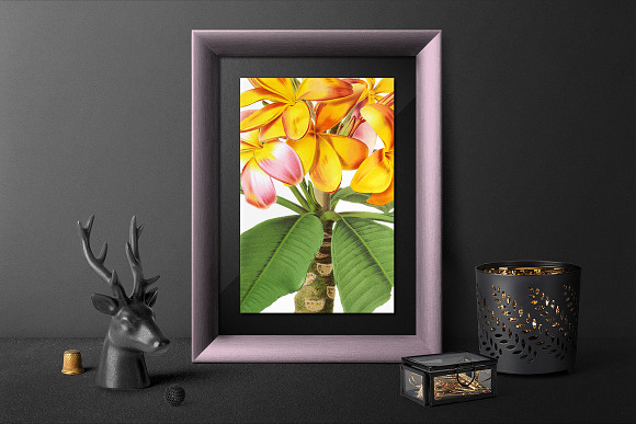 Plumeria Yellow Vintage Flowers in Illustrations - product preview 3