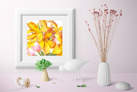 Plumeria Yellow Vintage Flowers in Illustrations - product preview 5