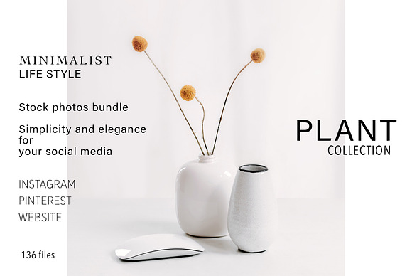 PLANT COLLECTION. WHITE. in Instagram Templates - product preview 5