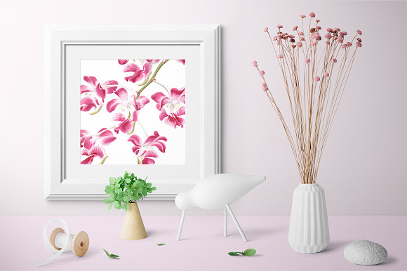 Pink Orchid Aerides Crassifolium in Illustrations - product preview 3