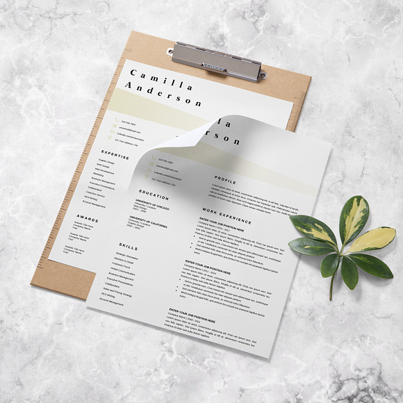 Resume Template | CV Template in Resume Templates - product preview 6