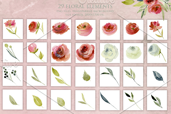 Bourgogne. Watercolor roses clip art in Illustrations - product preview 1