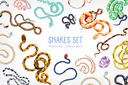 Snakes set and seamless
