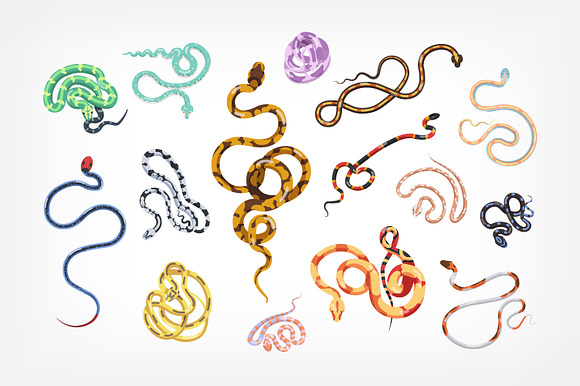 Snakes set and seamless in Illustrations - product preview 1