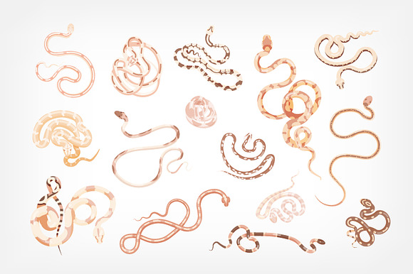Snakes set and seamless in Illustrations - product preview 2
