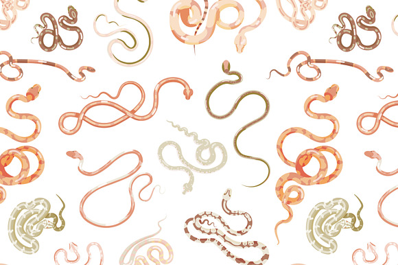 Snakes set and seamless in Illustrations - product preview 3