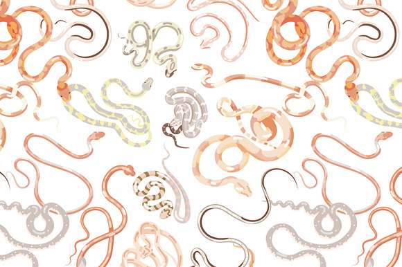 Snakes set and seamless in Illustrations - product preview 4