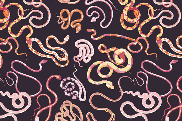 Snakes set and seamless in Illustrations - product preview 5