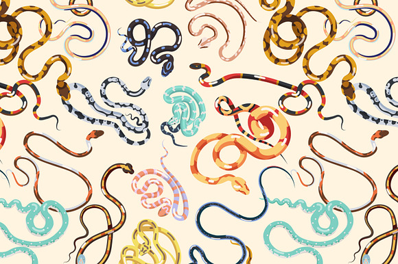 Snakes set and seamless in Illustrations - product preview 6
