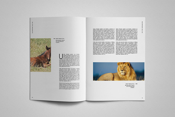 Multipurpose Magazine Template in Magazine Templates - product preview 5