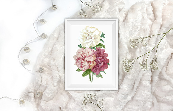 Petunia Bouquet Pink Vintage Flowers in Illustrations - product preview 7