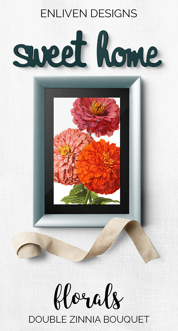 Zinnia Doubles Orange Flowers in Illustrations - product preview 7