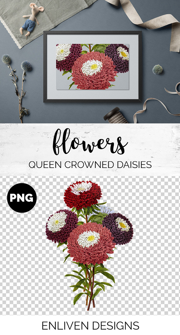 Daisies Queen Crowned Daisy Vintage in Illustrations - product preview 1