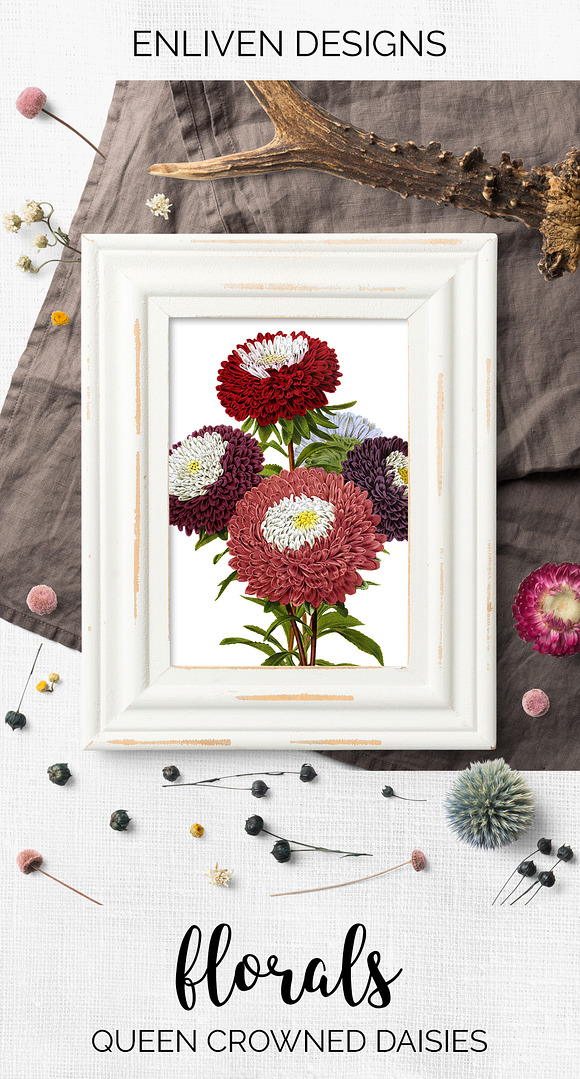 Daisies Queen Crowned Daisy Vintage in Illustrations - product preview 7