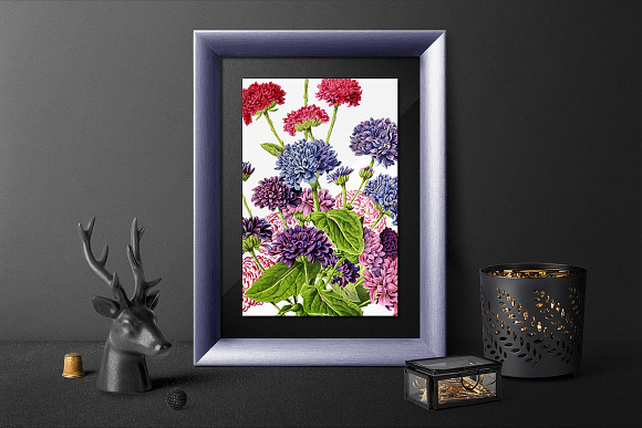 Double Flowered Cinerals Vintage in Illustrations - product preview 3