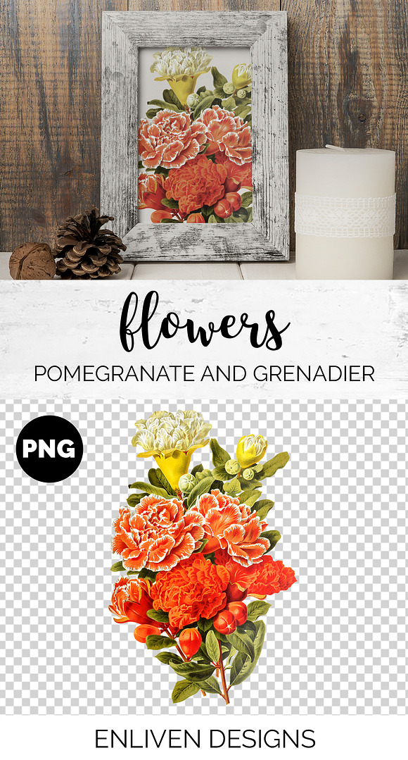 Orange Flower Bouquet Pomegranate in Illustrations - product preview 1