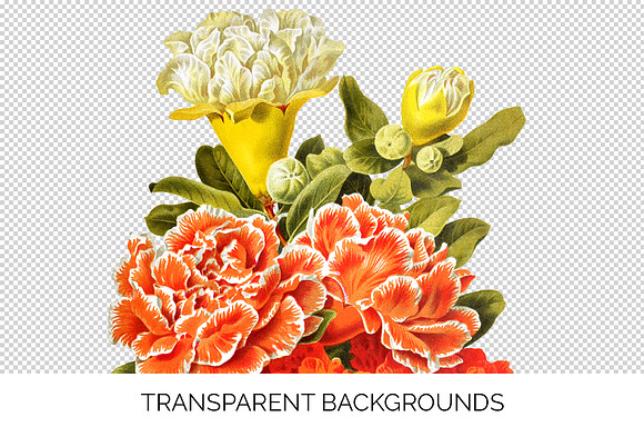 Orange Flower Bouquet Pomegranate in Illustrations - product preview 2