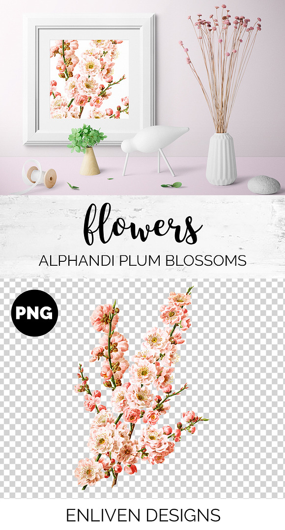 Blossoms Plum Vintage Floral in Illustrations - product preview 1